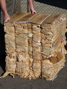 Carboard bale &copy; Planet Ark