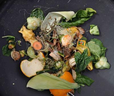 Food Scraps